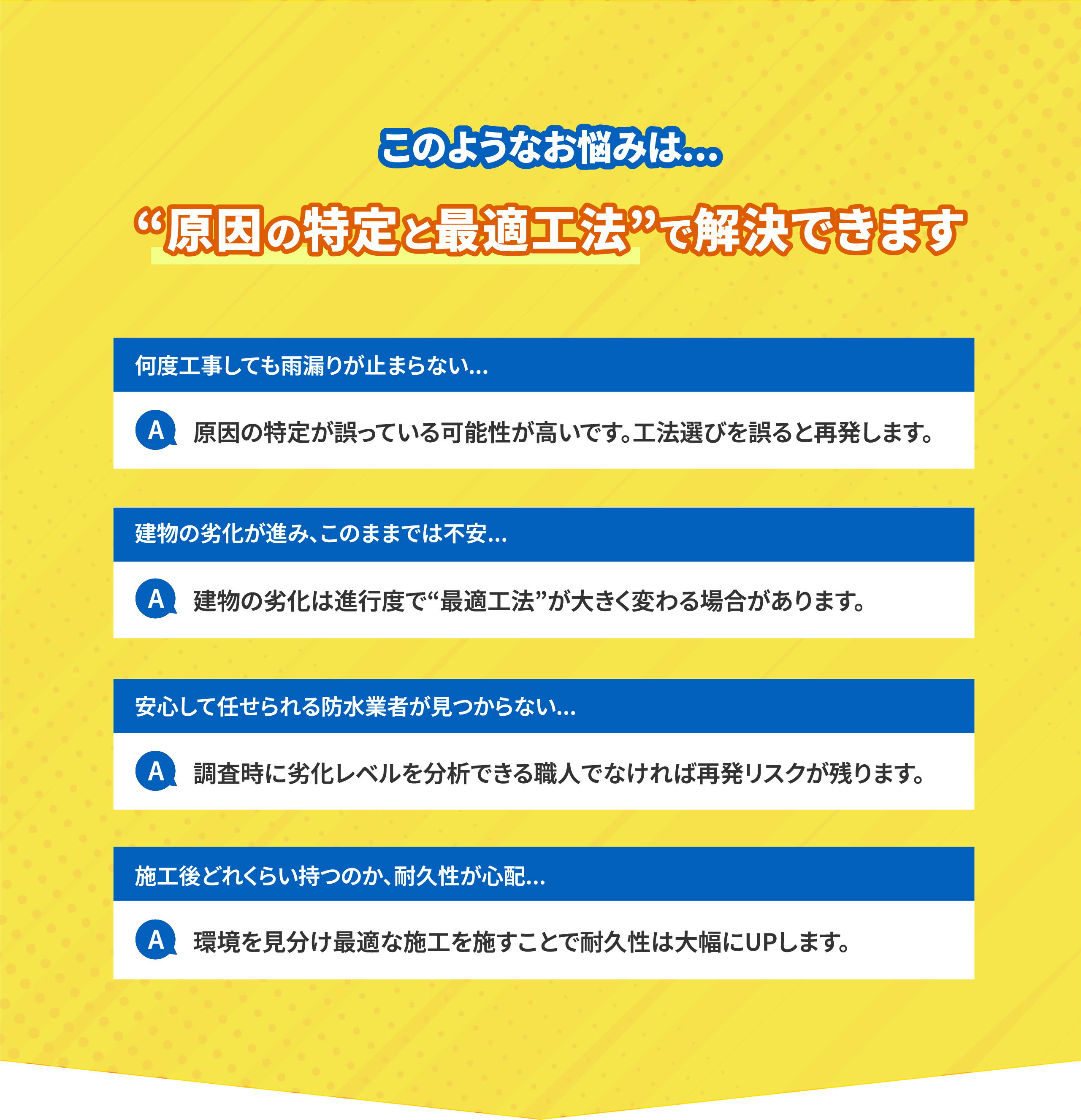 セクション2