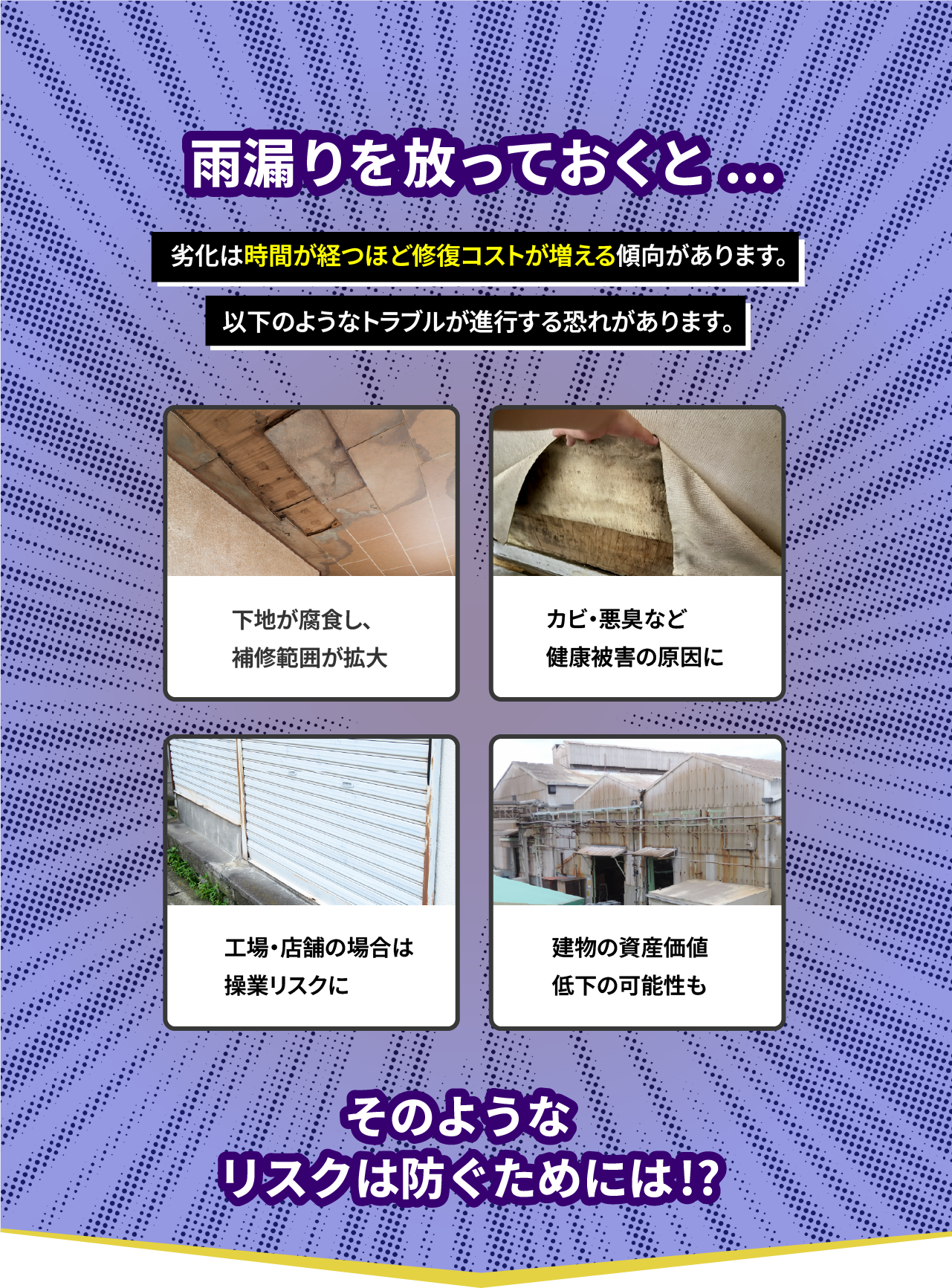 セクション3
